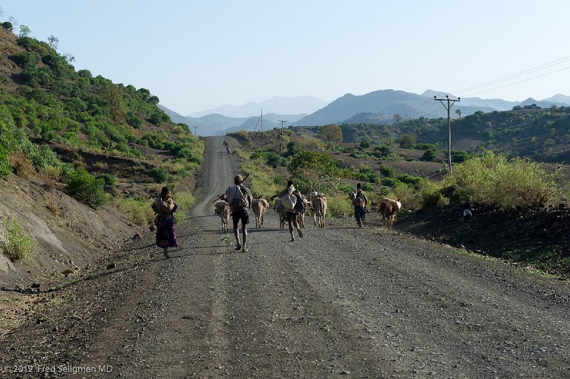 20120403_075337 Nikon D3S 2x3.jpg - Common road scene